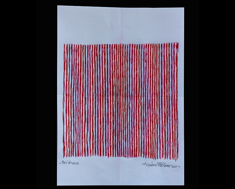 Meridians drawing